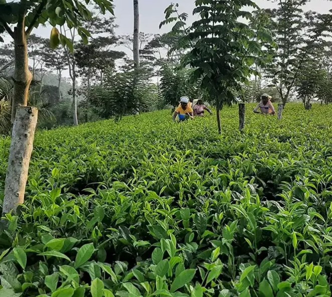 Snímek obrazovky 2026-03-02 153457